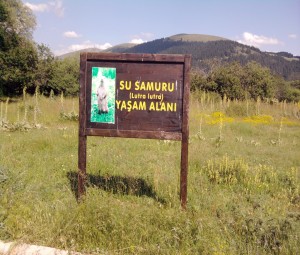 Ahşap Tabela