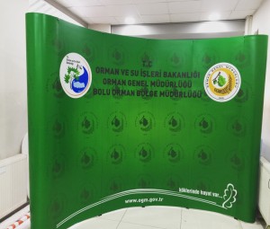 Display Ürünler